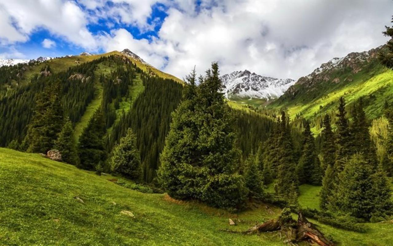 Алтын-Арашан, Путь На Оз,Ала-Куль Teploklyuchenka Bagian luar foto