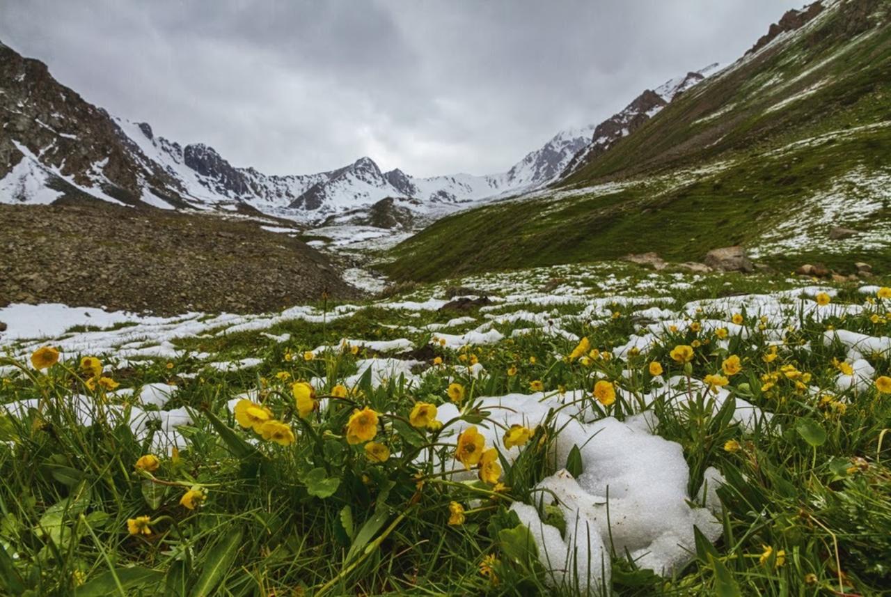 Алтын-Арашан, Путь На Оз,Ала-Куль Teploklyuchenka Bagian luar foto